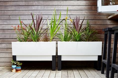 Modern Planter Boxes: The Sophisticated Solution for Stylish Gardeners - WholeStory