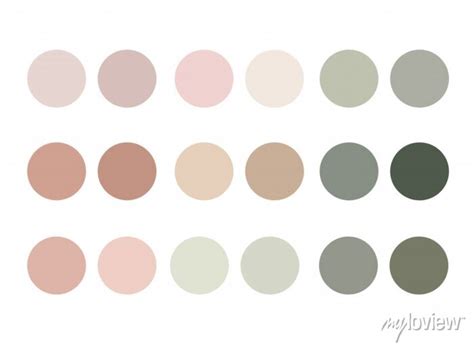 Neutrals Color Palette Procreate Swatches • Wall Stickers Accent