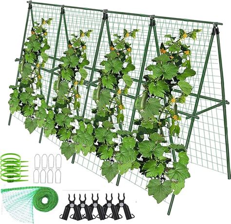 Amazon 7Queen Complete 48IN Long Stake Outdoor Garden Trellis