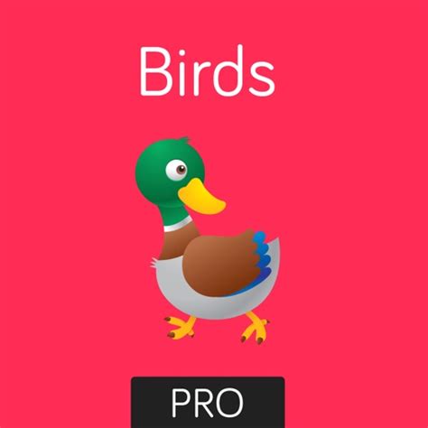 Birds Flashcard for babies and preschool Pro by Vishal Shah