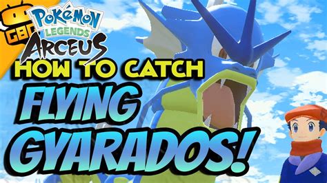 Pokémon Legends Arceus How to Catch The Flying Gyarados YouTube