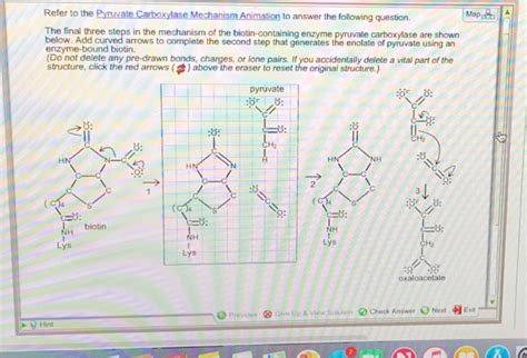 Solved Refer to the Pyruvate Carboxylase Mechanism Animation | Chegg.com