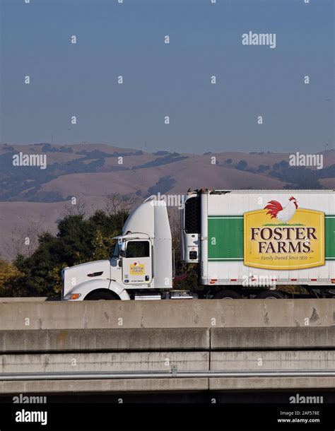 Chicken Poultry Truck Banque De Photographies Et Dimages Haute