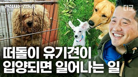 고독한훈련사 90분 유기견을 보는 순간 이름은 어떻게 하지🐶 운명처럼 만난 유기견을 입양한 보호자들의 이야기