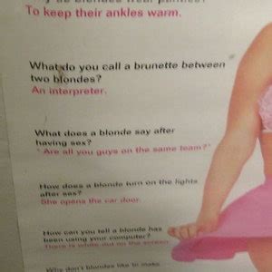 Blonde Jokes Poster Sealed Labeled New Hot Sexy Blonde Model Chic Humor No Frame Etsy