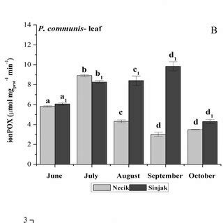 The Change In The Activities Of SolPOX Mmol 1 Mg Prot 1 Min 1