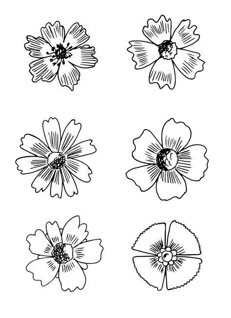 Flor Dibujo Blanco Y Negro Imagen Gratis En Pixabay Pixabay