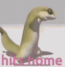 Dancing Lizard Hits Home GIF - Dancing Lizard Hits Home Dance ...