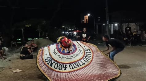 BERAT LUR ADA YANG GAK KUAT TAKLUKAN BARONGAN REOG RAKSASA YouTube