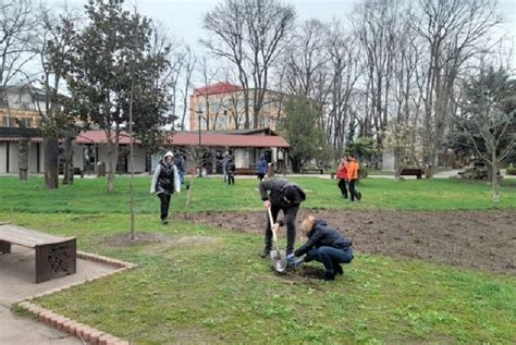 Eco Provocarea Elevii Liceului Ovid Caledoniu Au Plantat Puie I