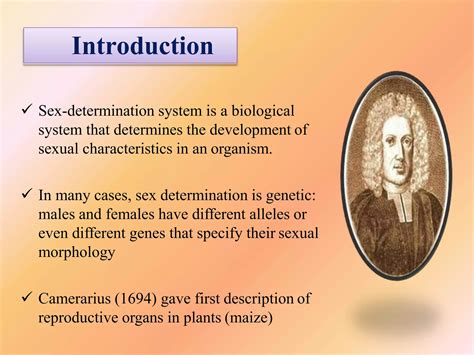 SEX DETERMINATION MECHANISMS IN PLANTS PPTX Reproductive Health Diseases And Conditions