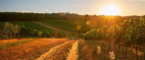 Czech Republic Public Holidays 2026 - PublicHolidays.cz