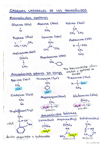 Biomoleculas Pdf