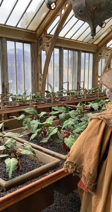 Professor Sprout S Greenhouse To Open At The Harry Potter Studio Tour