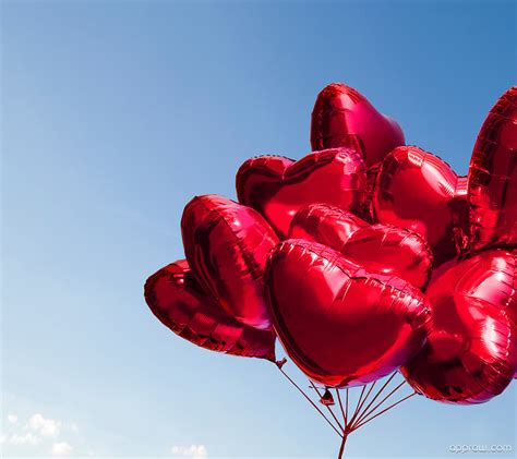 Heart Shaped Balloons Wallpaper download - Heart HD Wallpaper - Appraw