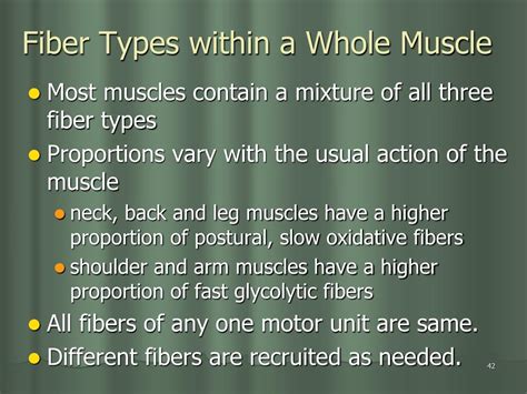 Ppt Three Types Of Muscle Tissue Powerpoint Presentation Free Download Id 6036446