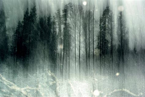 🔥 [50+] Haunted Forest Wallpapers | WallpaperSafari