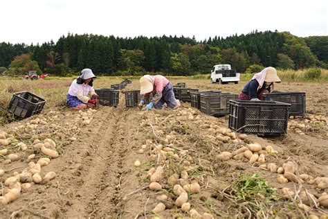 厚沢部町の産業・歴史・特産品情報｜prezoプレゾ 北海道のお取り寄せグルメと産直通販