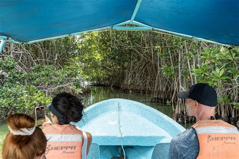 Puerto Escondido Lagunas De Chacahua Day Trip And Boat Ride GetYourGuide