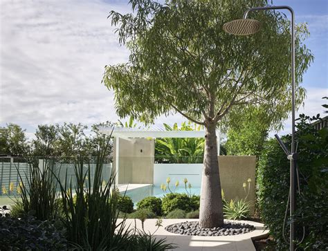 Alexandra | Shaun Lockyer Architects