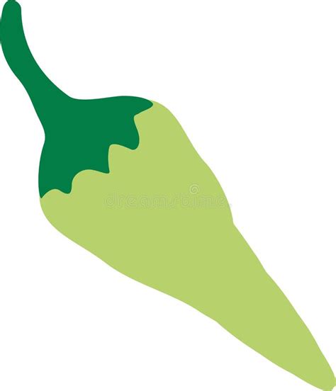 Green chili pepper stock vector. Illustration of vector - 107205804