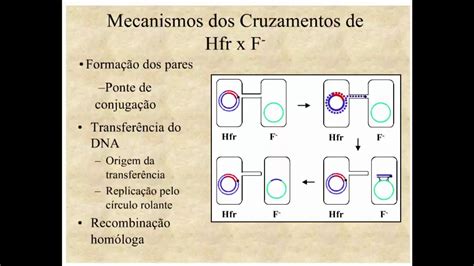 Aprenda Plugado Bacteriologia Aula Slide Mecanismos Dos