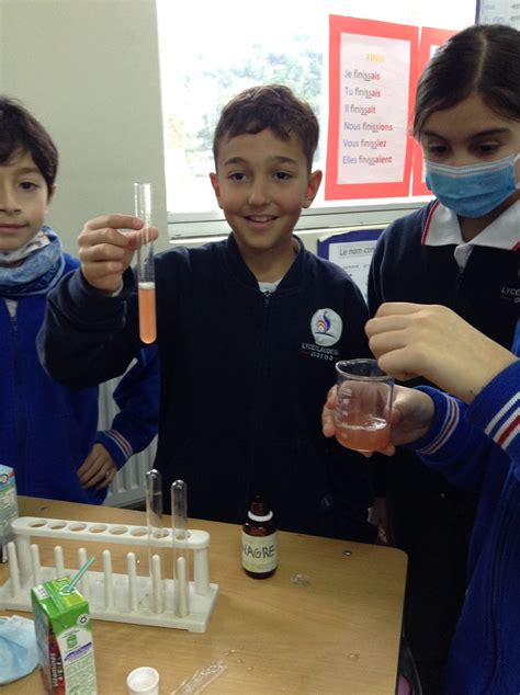 Experimentos en clases de Ciencias CM 1 B Lycée Claude Gay OSORNO Colegio Francés de OSORNO
