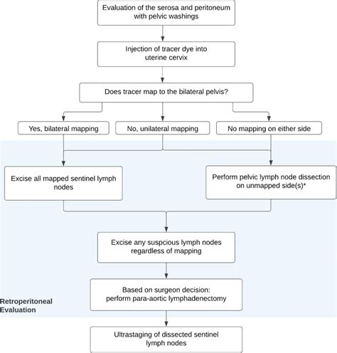 Key Steps Of A Standard Sentinel Lymph Node Algorithm In Endometrial Download Scientific