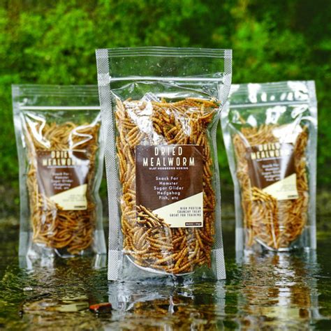 Jual Dried Mealworm Atau Ulat Kering Makanan Sugar Glider Dan Hewan