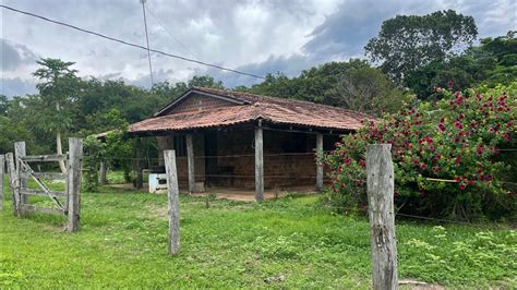 Fazenda A Venda No Tocantins Em Formoso Do Araguaia TO 260 Ha YouTube