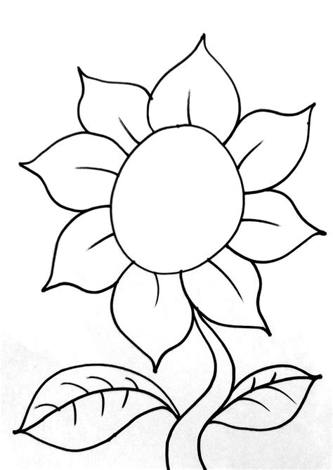 gambar bunga matahari  warna artofit