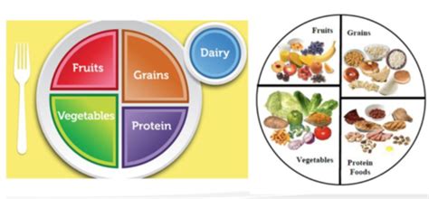 Basic Nutrition Assessment Flashcards Quizlet