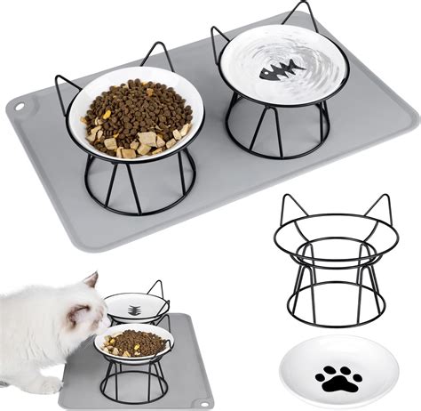 Cat Bowl Raised Cat Food Bowlelevated Cat Feeder Bowl Stand Food