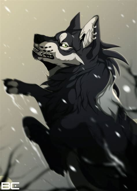 Snow By Chetauri On Deviantart Canine Art Wolf Artwork Anime Wolf