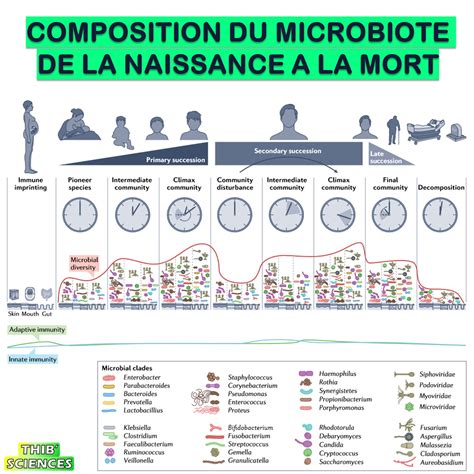 Microbiote Humain Et Sant Svt Au Lyc E