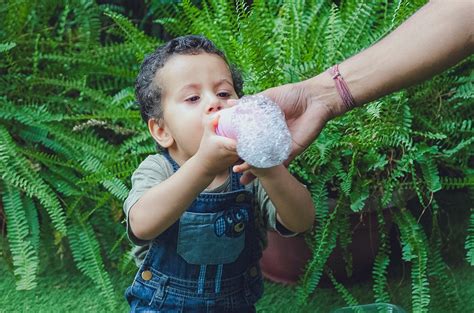 10 Science experiment ideas for toddlers – Curious Cub