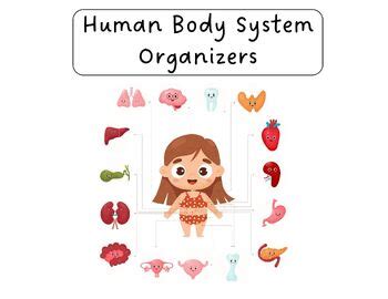 Human Body Systems Graphic Organizer By Abbee Daehnert TPT