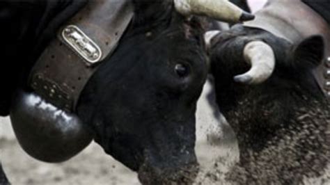 Anhnungslose Schweizer Verzehrten Klonfleisch Oe24 At