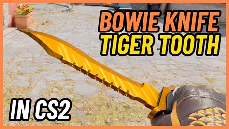 CS2 Bowie Knife Tiger Tooth CS2 Knife Showcase YouTube