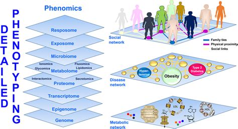 Multi Omics Phenotyping And Network Interaction In A Syndemic Context