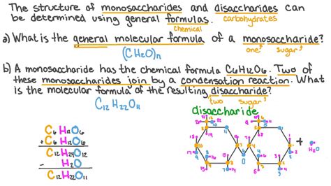 Basic Carbohydrate Chemical Structure