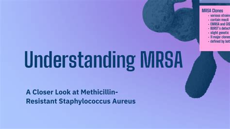 Understanding Mrsa By Anna Spohr On Prezi