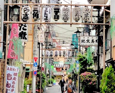 今日の浅草。 雷門柳小路のまたぎ提灯は四っつ続いています。準備は順調です。 三社祭 浅草 Asakusa Tokyo