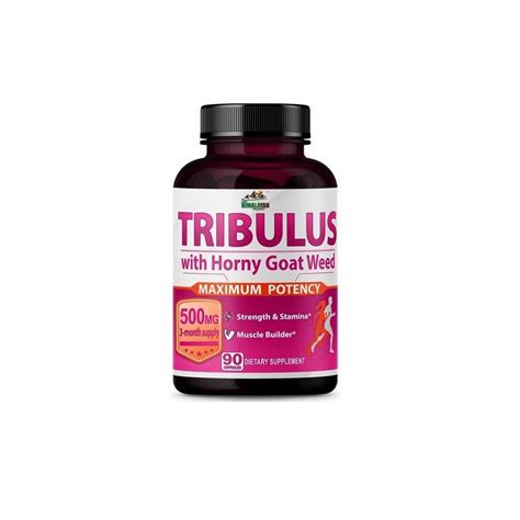 Horny Goat Weed Extract Capsule Epimedium Capsules Latest Price Manufacturers Suppliers