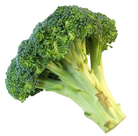 Collection Of Broccoli Png Pluspng