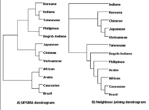 Upgma And Neighbour Joining Dendrograms Of Main Populations Based Upon