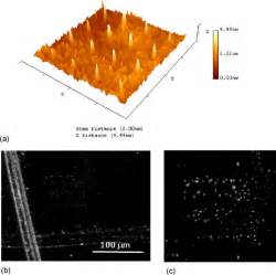 A D Afm Image With Scan Area Of M M The Scales On The X And Y