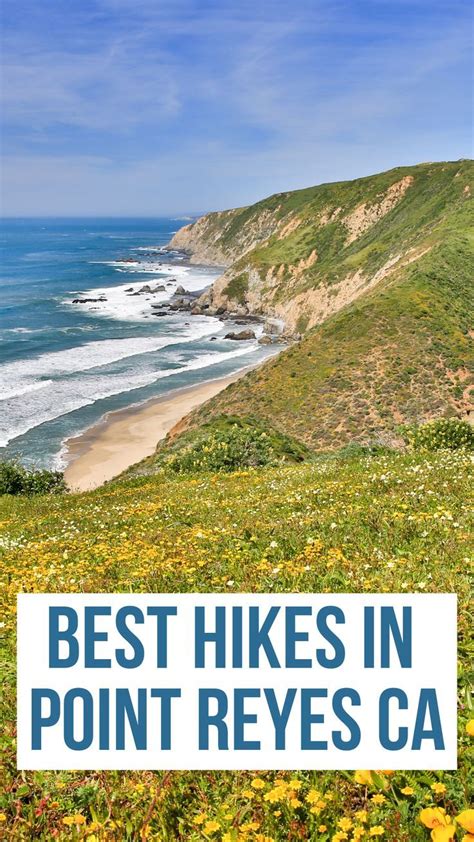 Best Hikes In Point Reyes In California You Should Plan Best Hikes