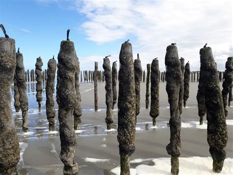 Que faire en Baie de Somme Notre liste d activités visites et