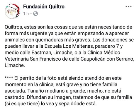 Info Animal Chile 🇨🇱 On Twitter AtenciÓn 🚨 Listado De Insumos Que Se